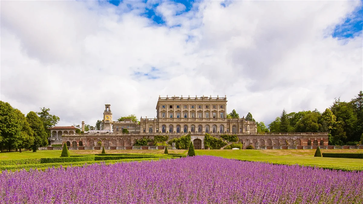 National Trust - Cliveden, Sky, Cloud, Flower, Plant, Building, Purple, Tree