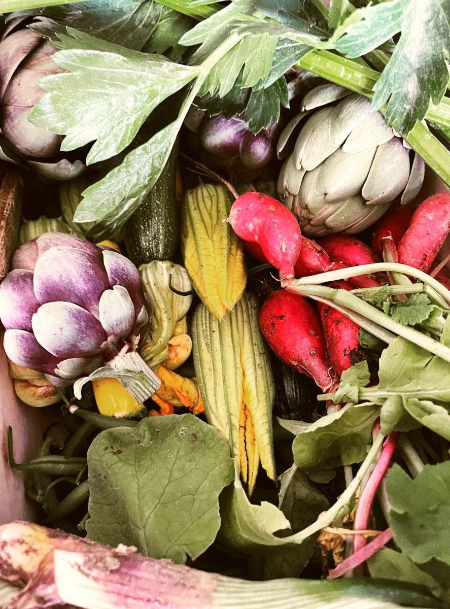 Local Food, Food, Plant, Natural foods, Ingredient, Staple food