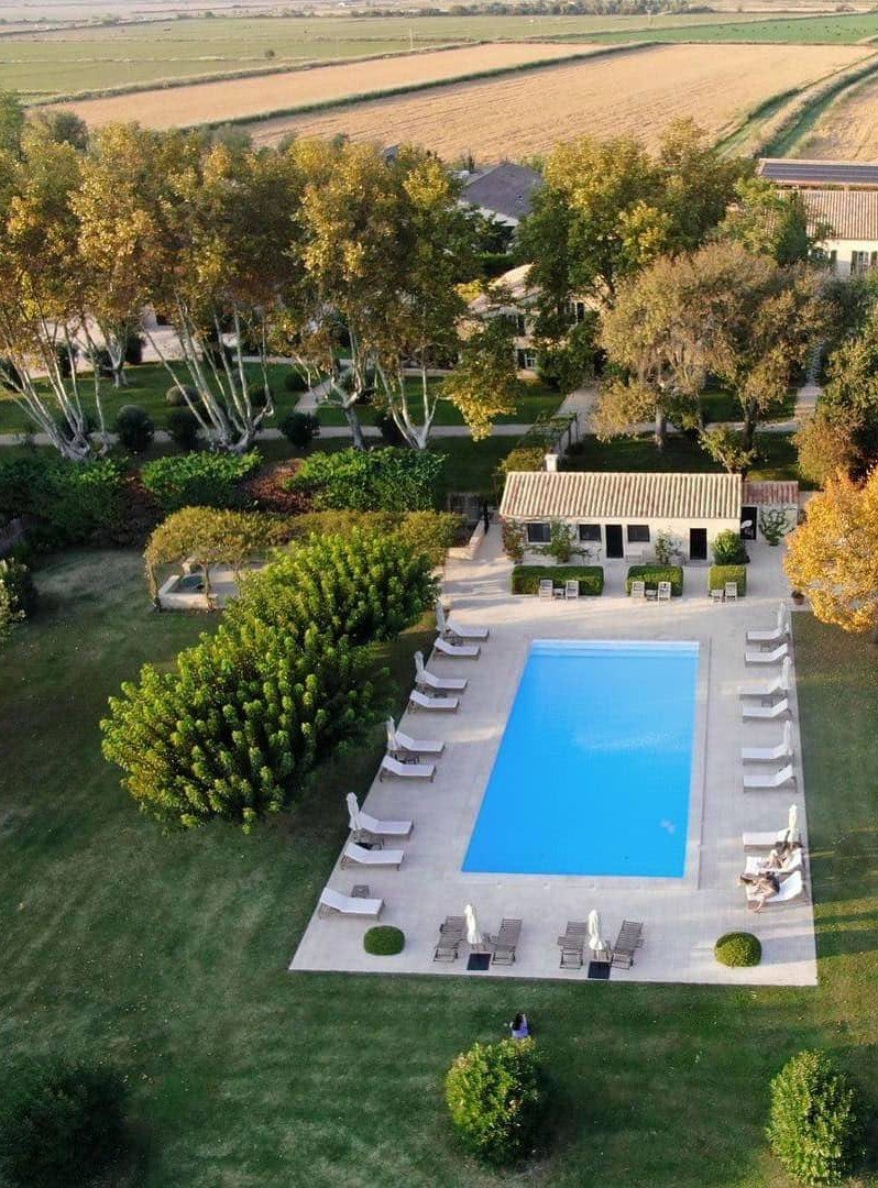 Swimming Pool, Plant, Botany, Tree, Swimming pool, Water