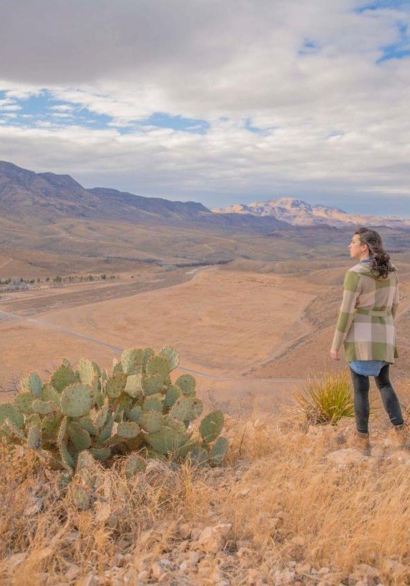 Wilderness, Cloud, Plant, Sky, Mountain, Plant community