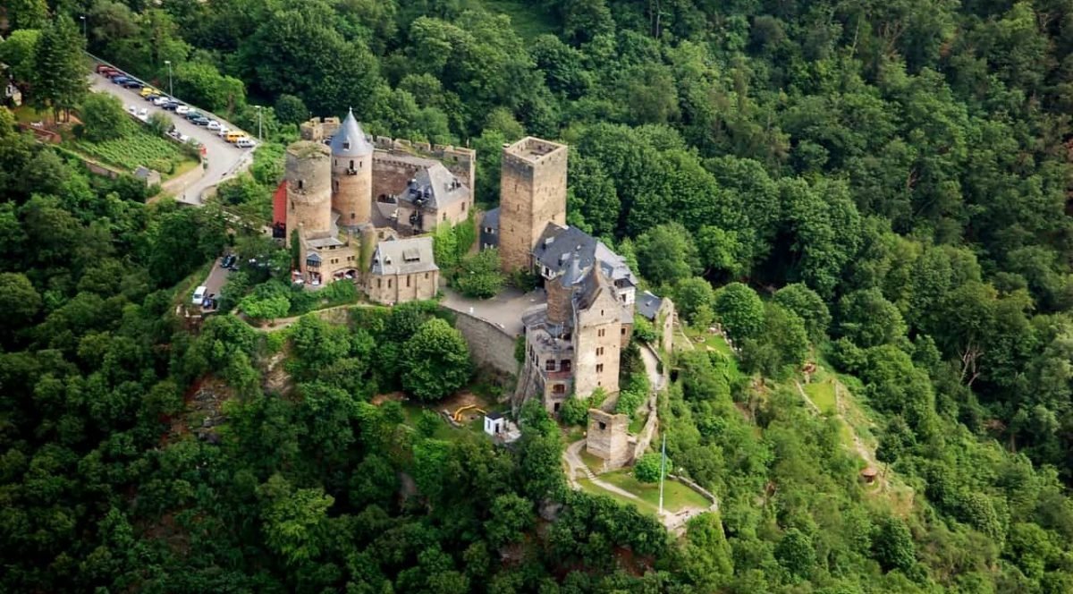Schönburg Castle, Building, Plant, Tree, Natural landscape