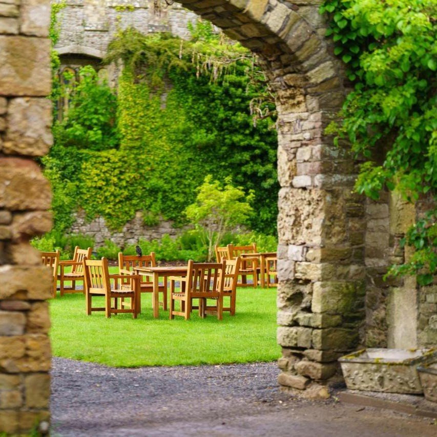 Wall, Plant, Natural landscape, Brick