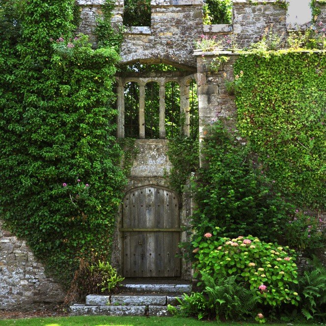 Garden, Plant, Botany, Flower, Vegetation