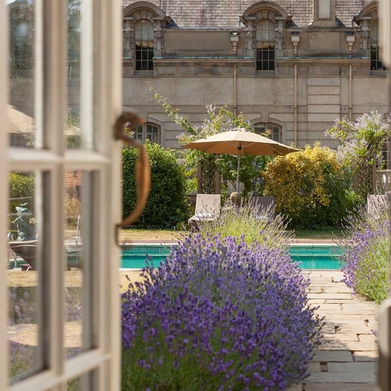 Garden, Plant, Flower, Botany, Building, Window