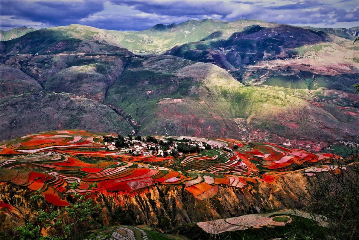 Nature, Cloud, Mountain, Ecoregion, Natural landscape, Leaf, Paint, Plant, Vegetation