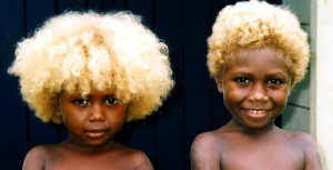 Meet the world's only natural black blondes, the Melanesians